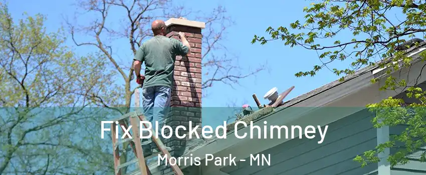 Fix Blocked Chimney Morris Park - MN