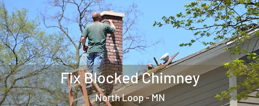 Fix Blocked Chimney North Loop - MN