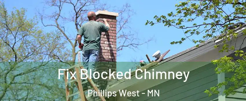 Fix Blocked Chimney Phillips West - MN