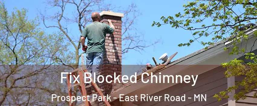 Fix Blocked Chimney Prospect Park - East River Road - MN