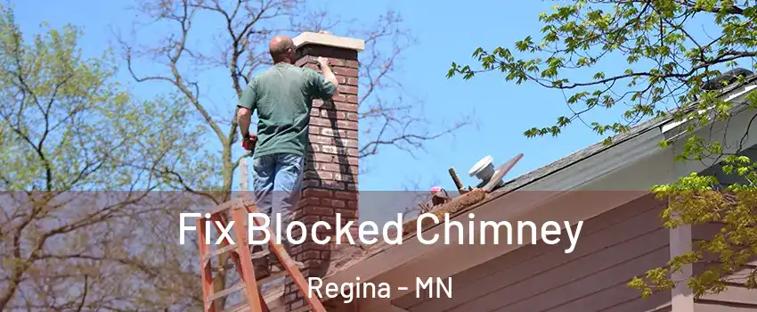 Fix Blocked Chimney Regina - MN