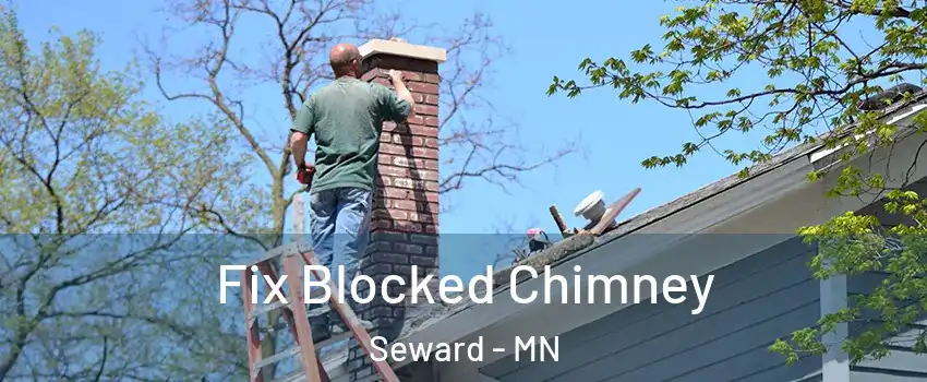Fix Blocked Chimney Seward - MN