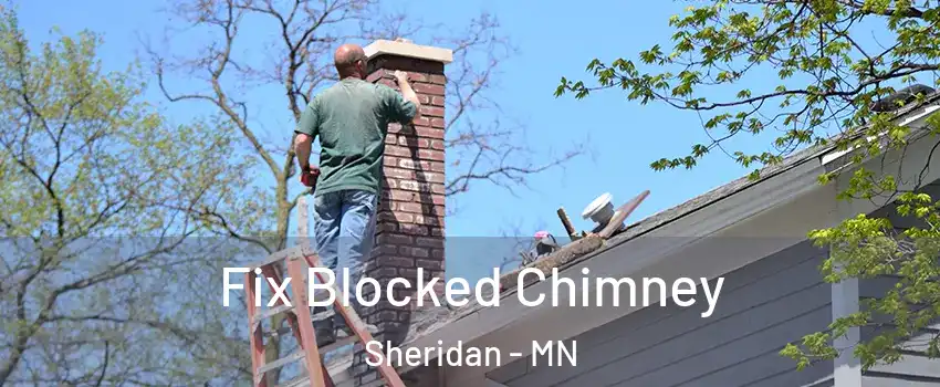 Fix Blocked Chimney Sheridan - MN