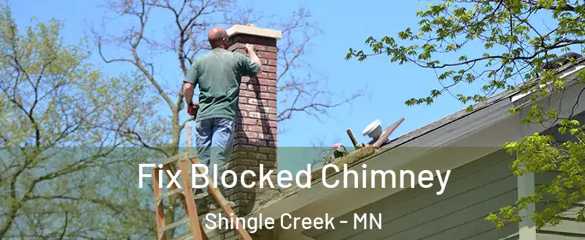 Fix Blocked Chimney Shingle Creek - MN