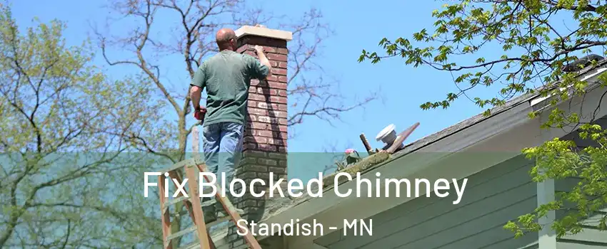 Fix Blocked Chimney Standish - MN