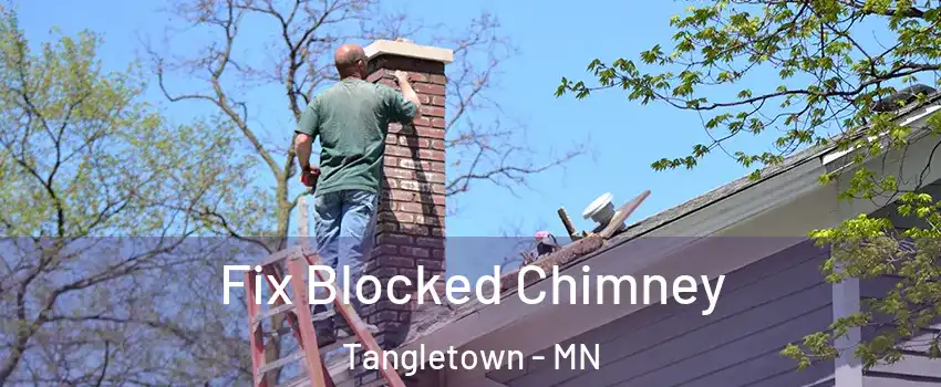 Fix Blocked Chimney Tangletown - MN