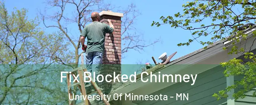 Fix Blocked Chimney University Of Minnesota - MN