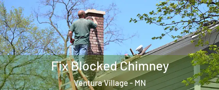 Fix Blocked Chimney Ventura Village - MN