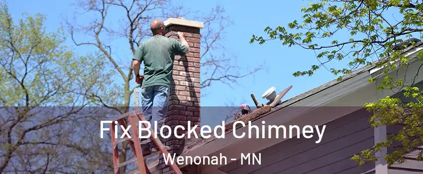 Fix Blocked Chimney Wenonah - MN