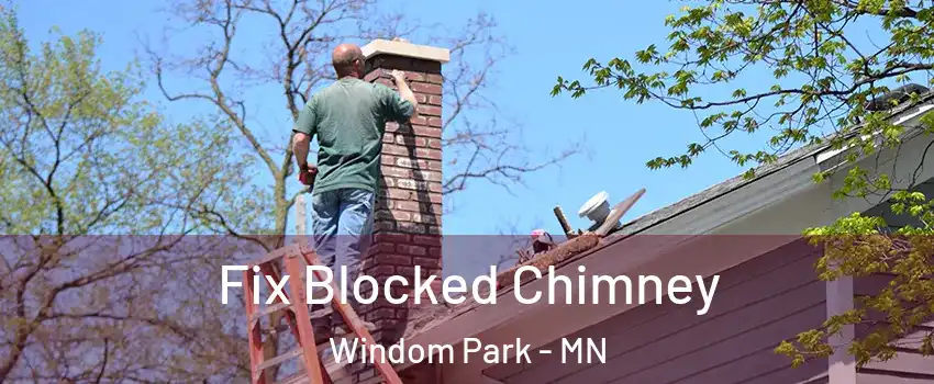 Fix Blocked Chimney Windom Park - MN