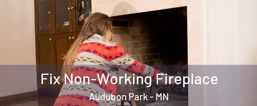 Fix Non-Working Fireplace Audubon Park - MN