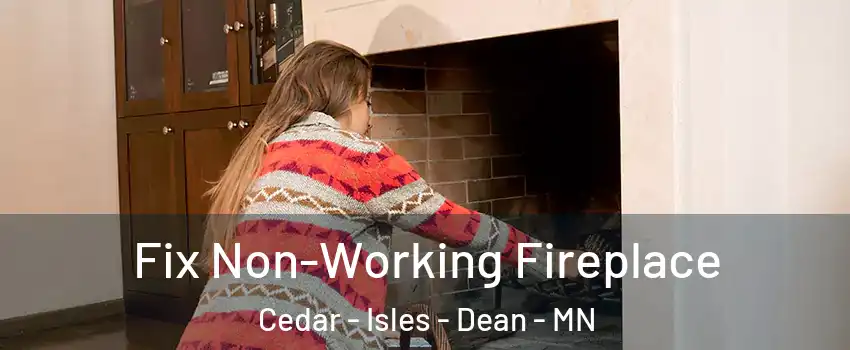 Fix Non-Working Fireplace Cedar - Isles - Dean - MN