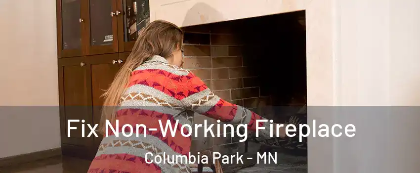 Fix Non-Working Fireplace Columbia Park - MN