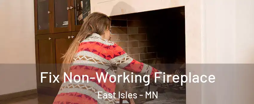 Fix Non-Working Fireplace East Isles - MN