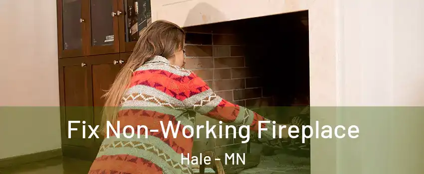 Fix Non-Working Fireplace Hale - MN