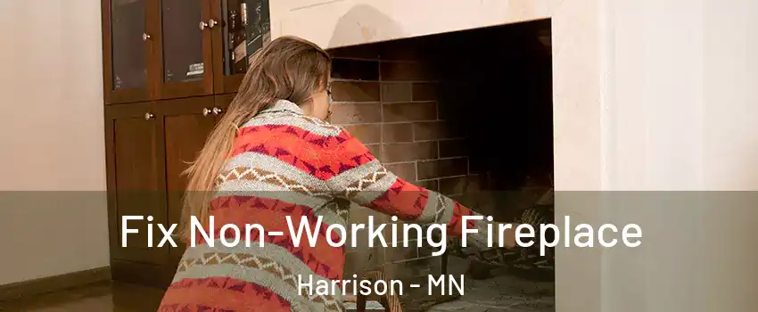 Fix Non-Working Fireplace Harrison - MN
