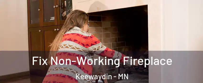 Fix Non-Working Fireplace Keewaydin - MN