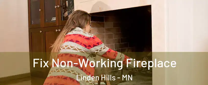Fix Non-Working Fireplace Linden Hills - MN