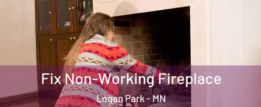 Fix Non-Working Fireplace Logan Park - MN