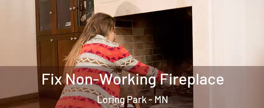 Fix Non-Working Fireplace Loring Park - MN