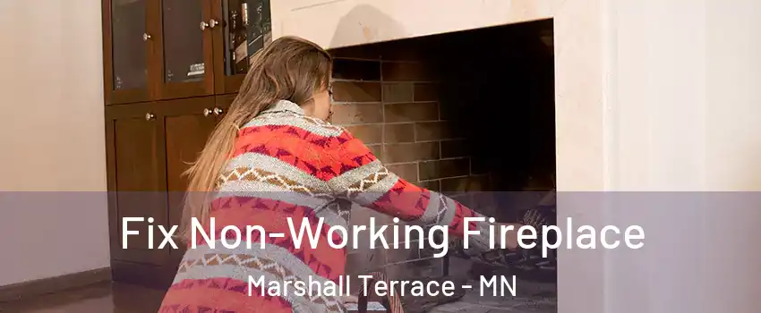 Fix Non-Working Fireplace Marshall Terrace - MN