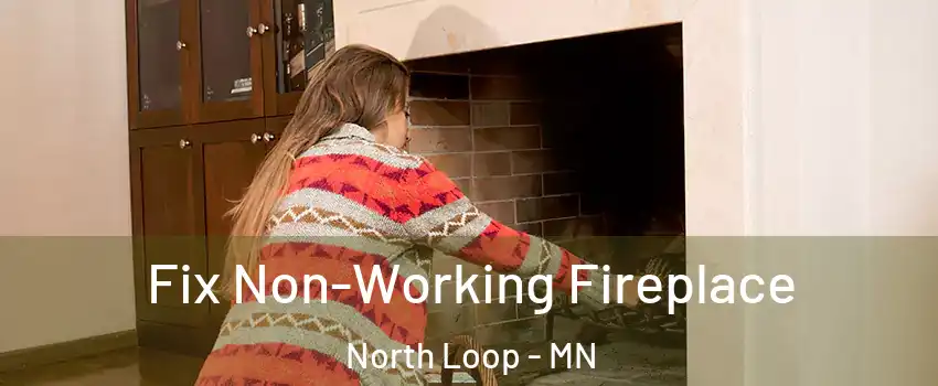 Fix Non-Working Fireplace North Loop - MN