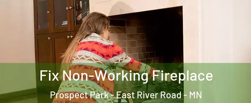 Fix Non-Working Fireplace Prospect Park - East River Road - MN
