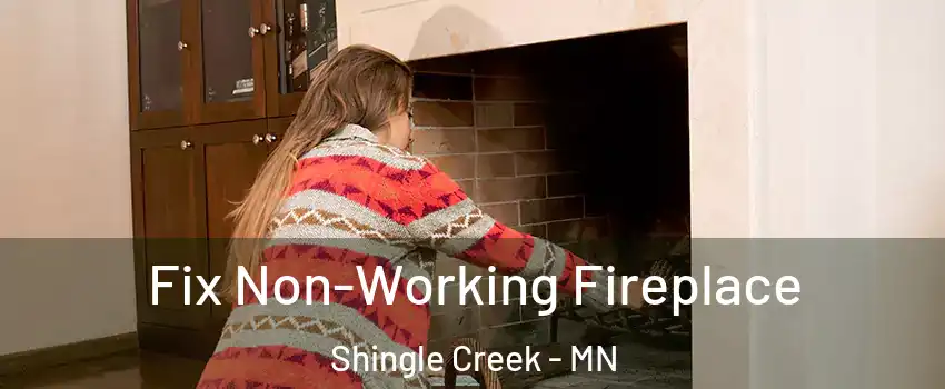 Fix Non-Working Fireplace Shingle Creek - MN