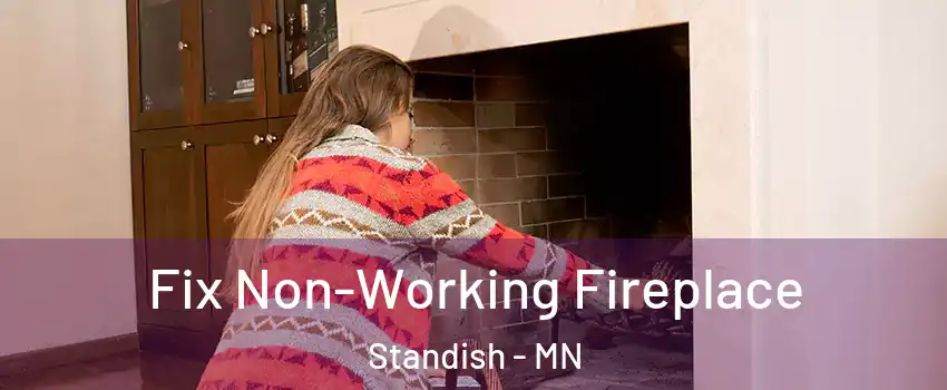 Fix Non-Working Fireplace Standish - MN