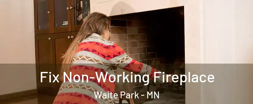 Fix Non-Working Fireplace Waite Park - MN