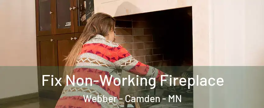 Fix Non-Working Fireplace Webber - Camden - MN