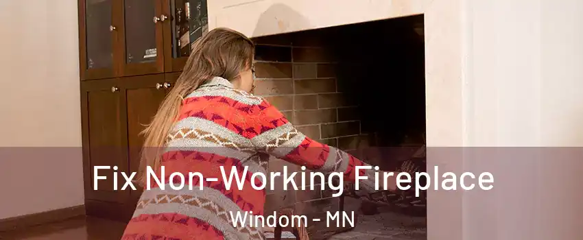 Fix Non-Working Fireplace Windom - MN
