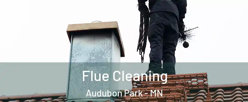 Flue Cleaning Audubon Park - MN