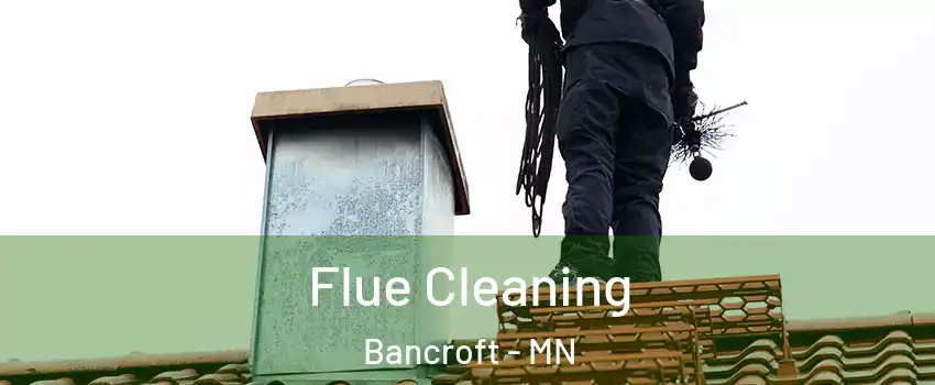 Flue Cleaning Bancroft - MN