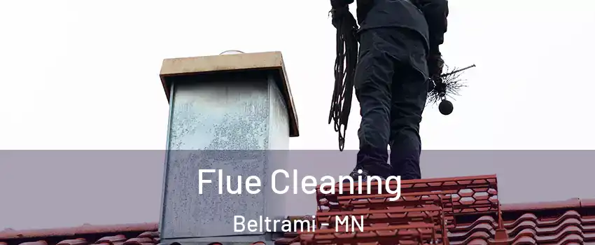 Flue Cleaning Beltrami - MN