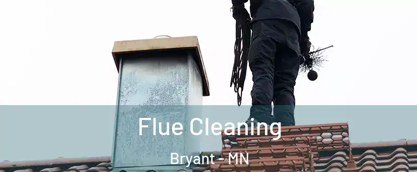 Flue Cleaning Bryant - MN