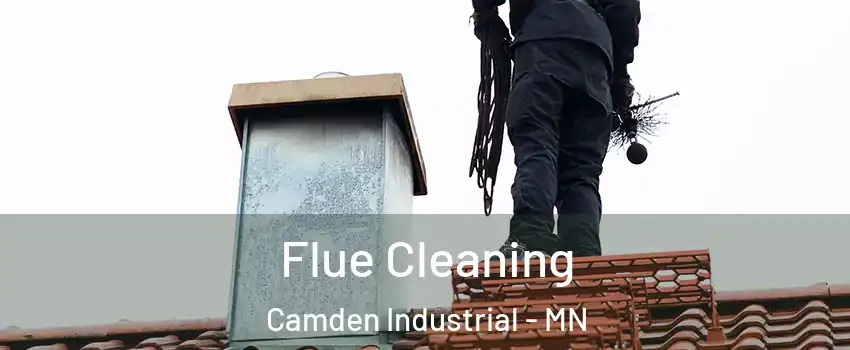 Flue Cleaning Camden Industrial - MN