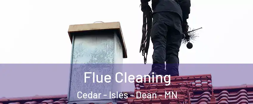 Flue Cleaning Cedar - Isles - Dean - MN