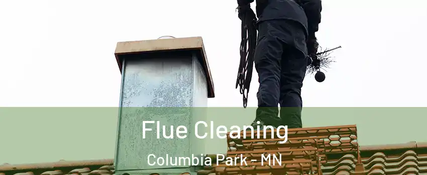Flue Cleaning Columbia Park - MN