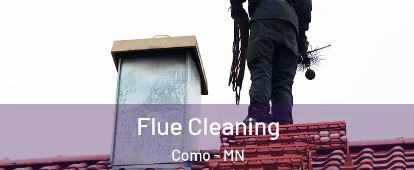 Flue Cleaning Como - MN