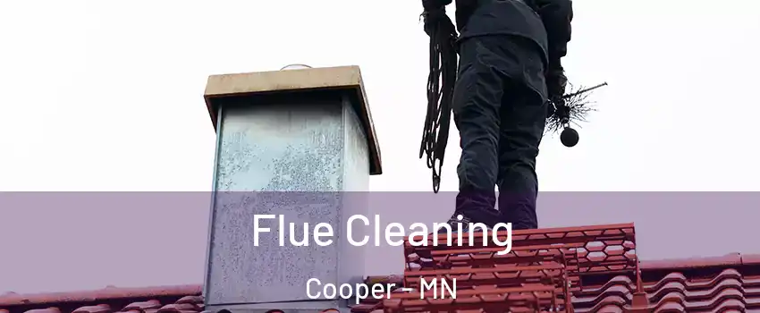 Flue Cleaning Cooper - MN