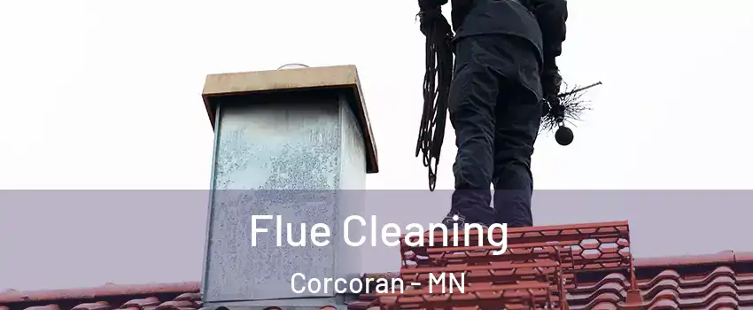 Flue Cleaning Corcoran - MN