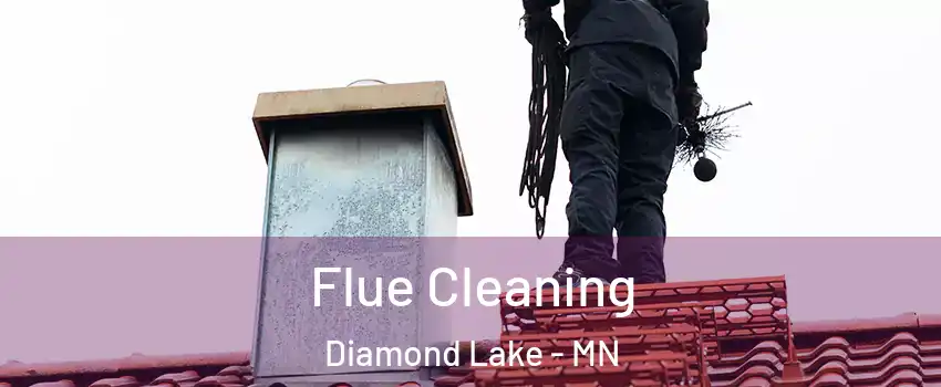 Flue Cleaning Diamond Lake - MN