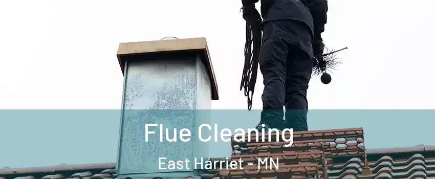 Flue Cleaning East Harriet - MN