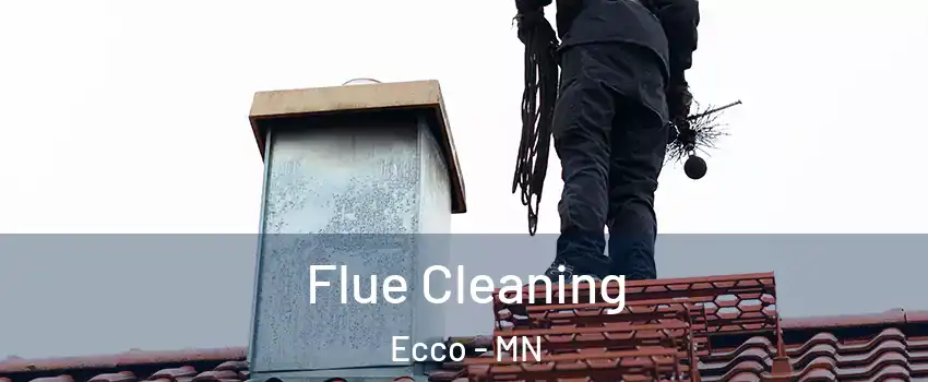 Flue Cleaning Ecco - MN