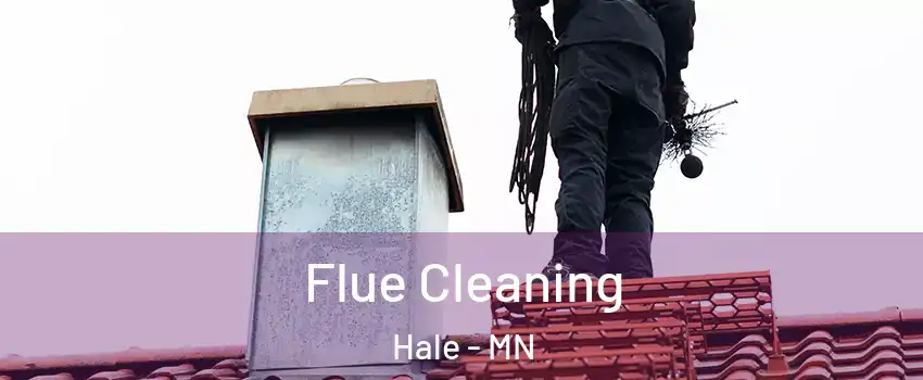 Flue Cleaning Hale - MN