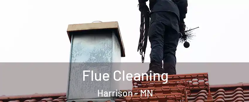 Flue Cleaning Harrison - MN