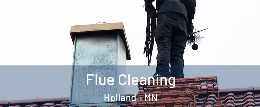 Flue Cleaning Holland - MN
