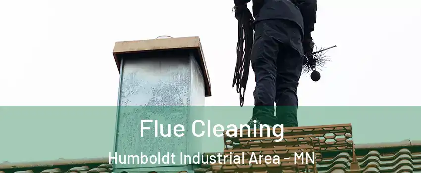 Flue Cleaning Humboldt Industrial Area - MN