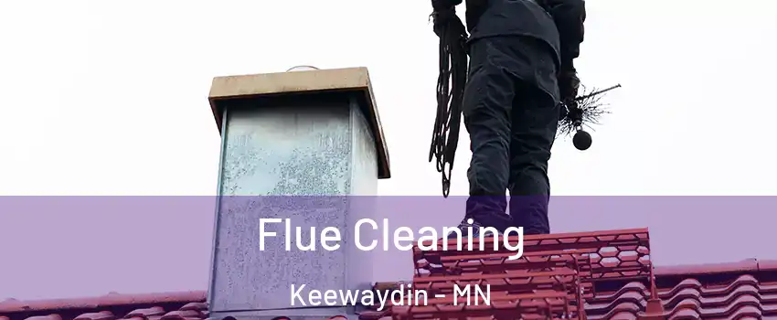 Flue Cleaning Keewaydin - MN